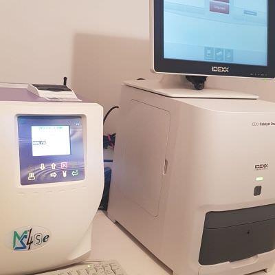 Cabinet Vétérinaire Rive Droite Cabinet Vétérinaire Rive Droite