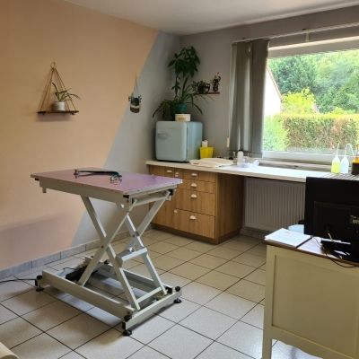 Cabinet Vétérinaire Rive Droite Cabinet Vétérinaire Rive Droite