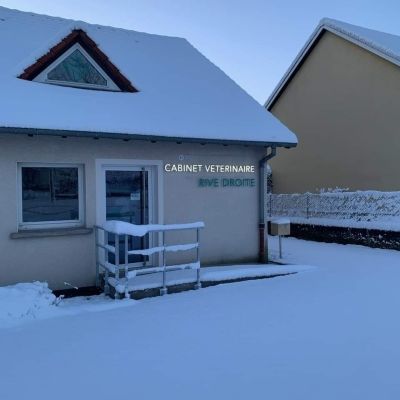 Cabinet Vétérinaire Rive Droite Cabinet Vétérinaire Rive Droite