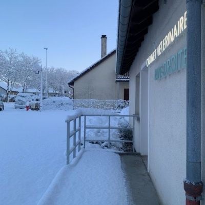 Cabinet Vétérinaire Rive Droite Cabinet Vétérinaire Rive Droite